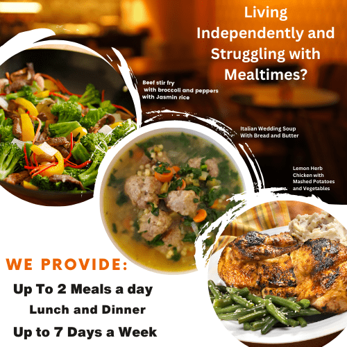 meals delivery (500 x 500 px) (1)
